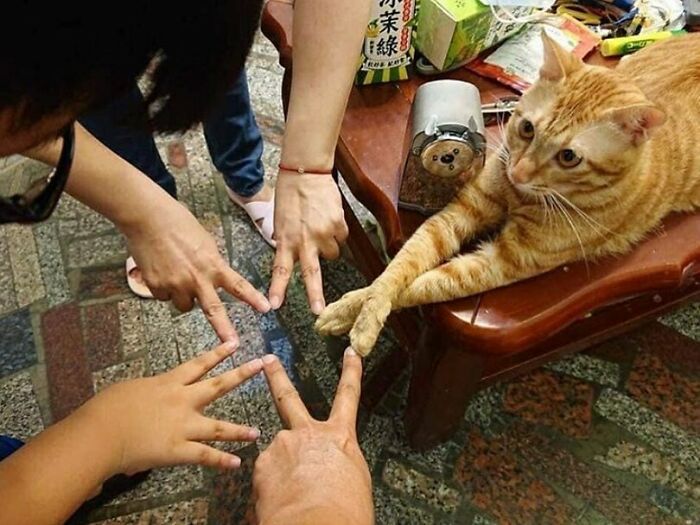 'Not My Animal': 40 Animal Pics That Just Don't Make Any Sense, As Shared On This Instagram Account