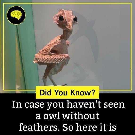 Check (@_.factopedia) Now For More 🔶
turn On Post Notifications 🔶
✴️follow >>@_.factopedia>@_.factopedia>@_.factopedia