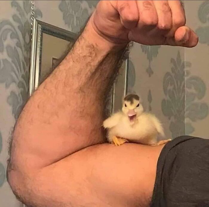 Weird-Images-Worth-Seeing