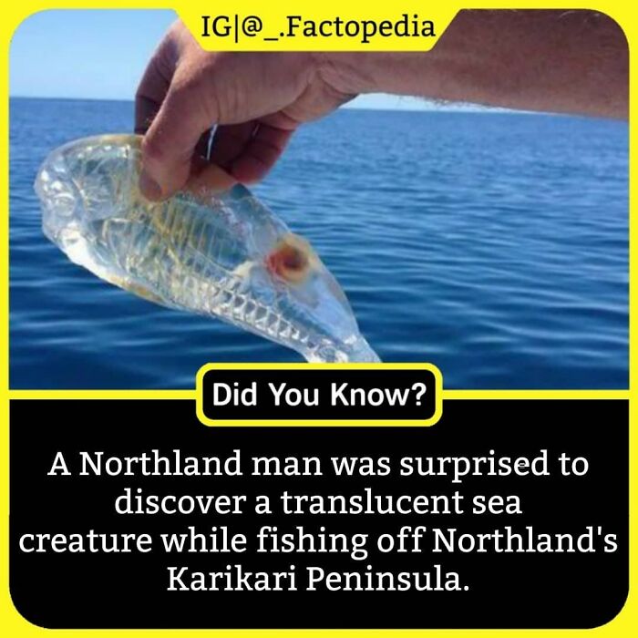 Check (@_.factopedia) Now For More 🔶
turn On Post Notifications 🔶
✴️follow >>@_.factopedia>@_.factopedia>@_.factopedia