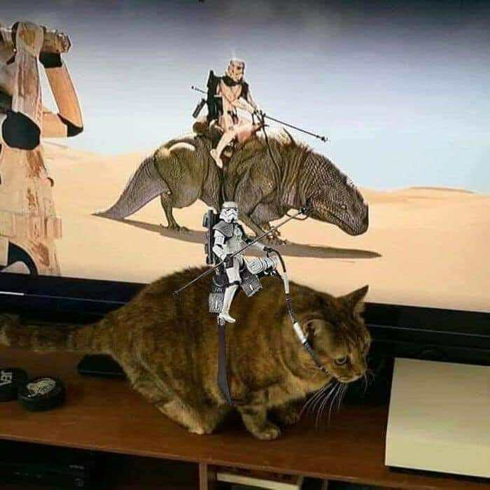 Weird-Images-Worth-Seeing