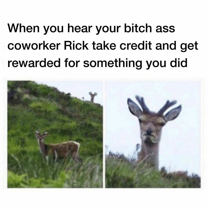 Deer meme expressing frustration, humorously depicting the feeling of underpaid employees.