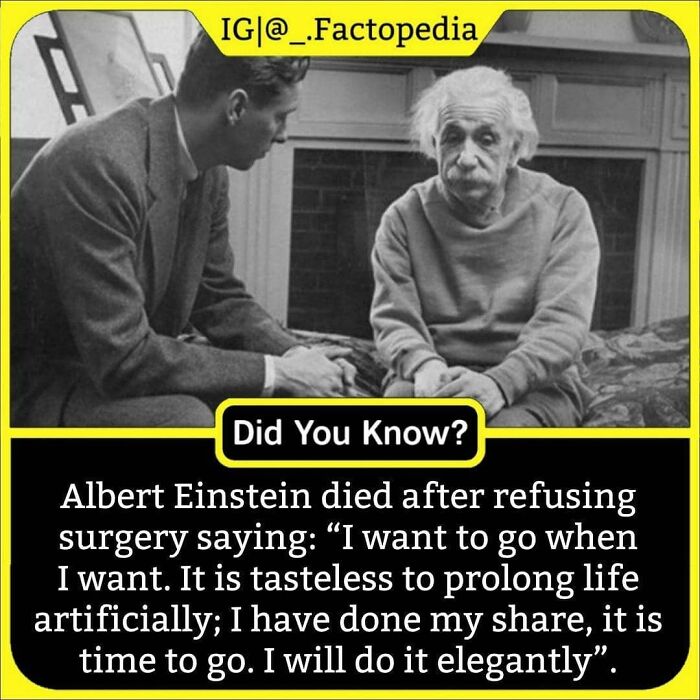 Was It A Smart Move!?
check (@_.factopedia) Now For More 🔶
turn On Post Notifications 🔶
✴️follow >>@_.factopedia>@_.factopedia>@_.factopedia