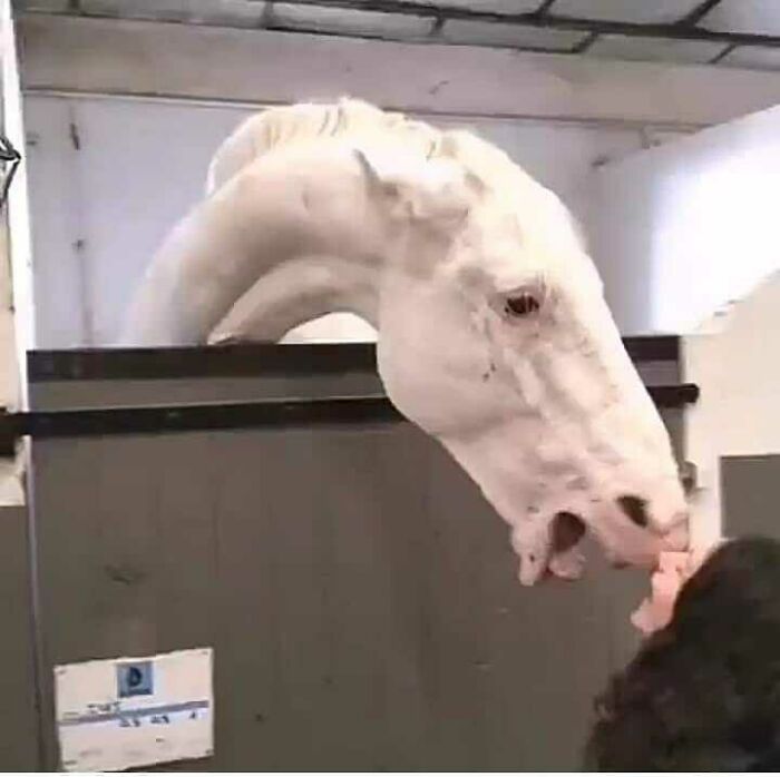 Weird-Images-Worth-Seeing