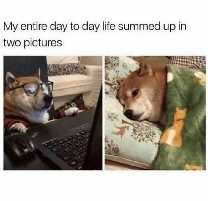 @consultingcomedy, Now Ain’t That The Truth...
.
.
.
.
.
#corporatehumor #corporate #humor #worklife #work #wfh #wfhlife #workfromhome #funny #funnymemes #workmeme #workmemes #workprobs #workproblems #workhumor #officelife #officememes #officememe #officehumor #dogsofinstagram #dogsofinsta #dogs #dog #doglife #doglover