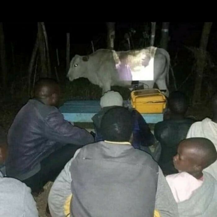 Weird-Images-Worth-Seeing