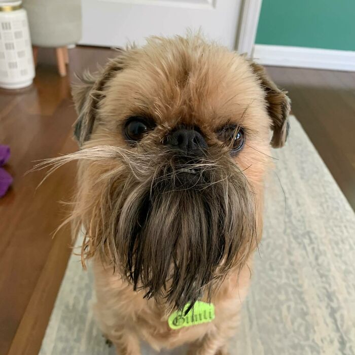 What? Is There Something On My Face?