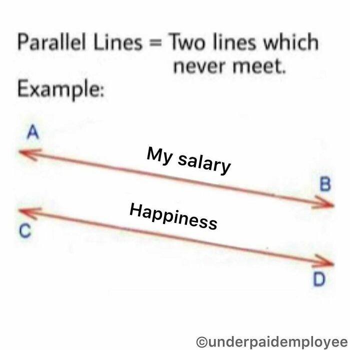 Parallel lines meme comparing salary and happiness, illustrating employee frustration.