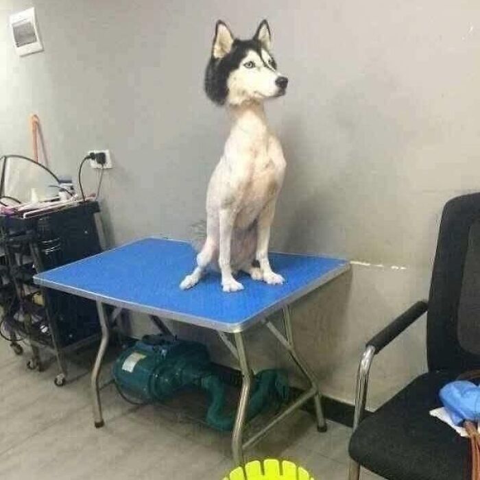 Weird-Images-Worth-Seeing