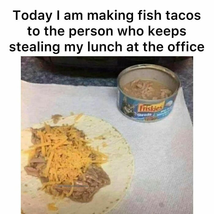 Meme showing a tortilla with cat food and cheese, captioned about office lunch theft.