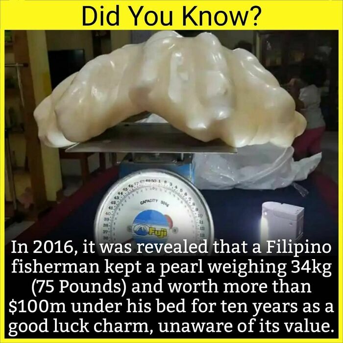 Large pearl weighing 34kg on a scale, highlighting unknown facts shared daily by a popular facts encyclopedia Instagram.