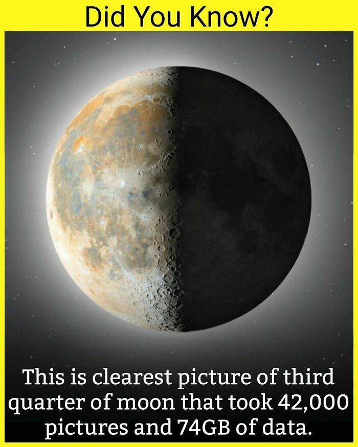 Are U A Selenophile(Moon Lover)