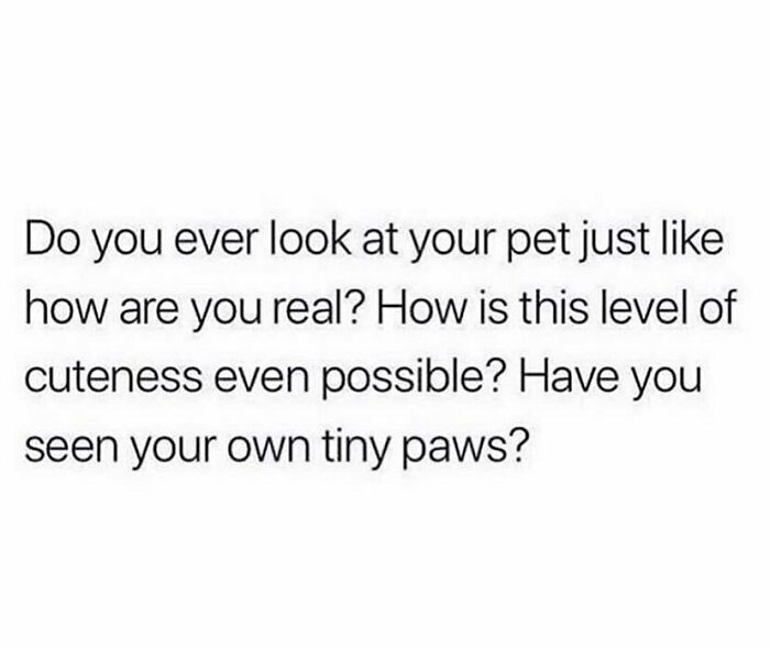 Text meme about pet cuteness, linked to themes of being "30 and tired," highlighting millennial humor.