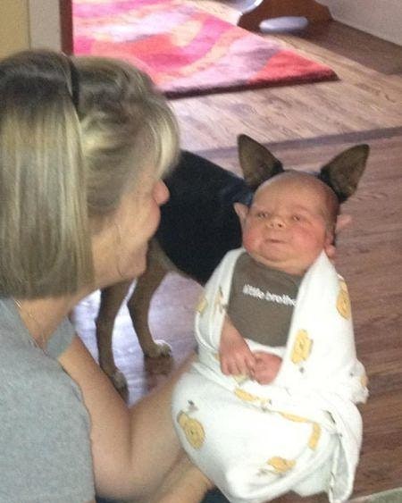 Weird-Images-Worth-Seeing