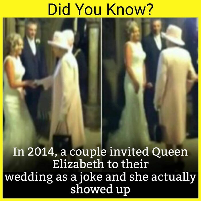 Couple invited Queen Elizabeth to their wedding as a joke in 2014, and she actually showed up, unknown facts daily.