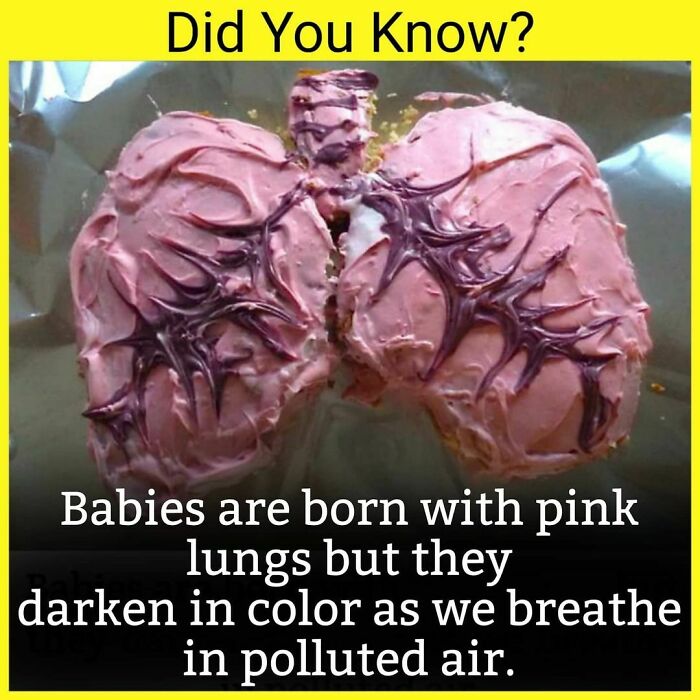 Check Out @_.factopedia For More Amazing Facts And Reels🤤✌🏻