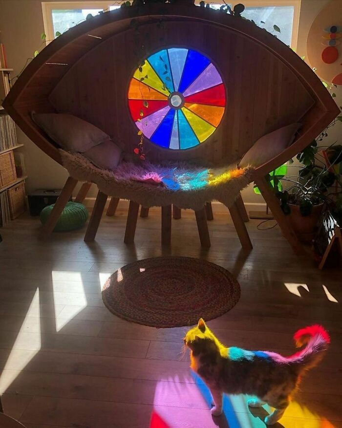 Eye Pod Designed By Rainbowkimono