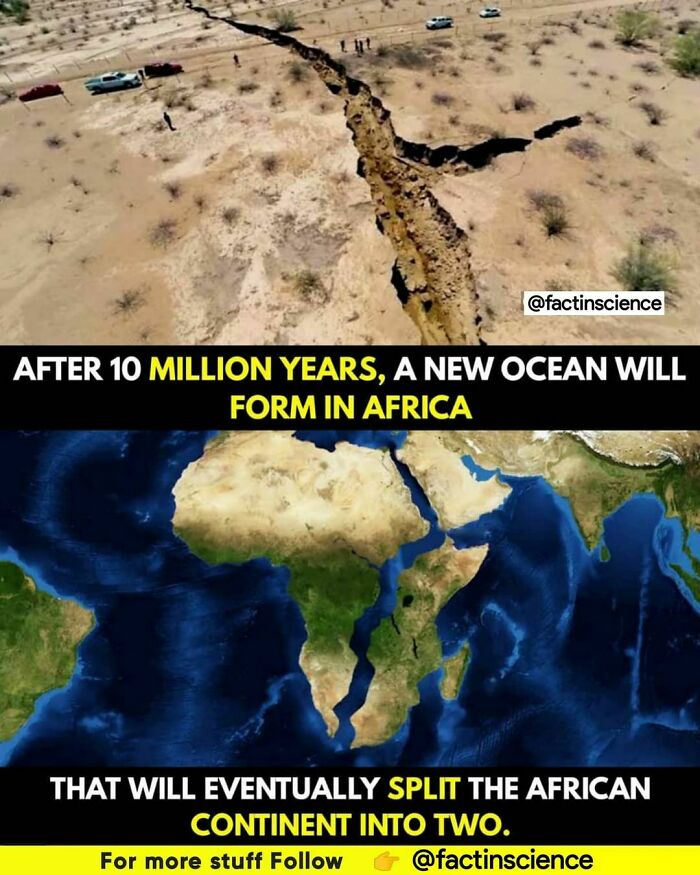 Follow @_.factopedia For Amazing Facts