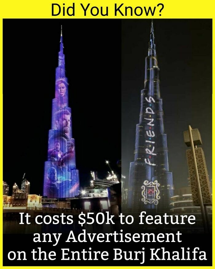 Is It Worth The Price?🤔🤔🤔