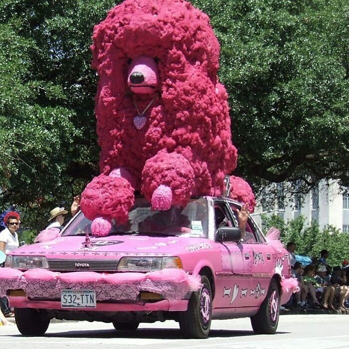 How About That @pinkandfurryous