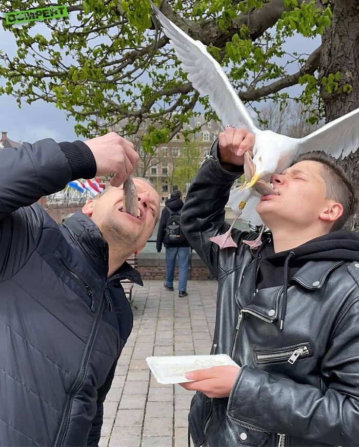 Weird-Images-Worth-Seeing