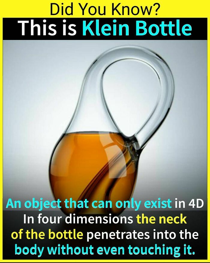 Follow @_.factopedia For More Amazing Facts And Reels