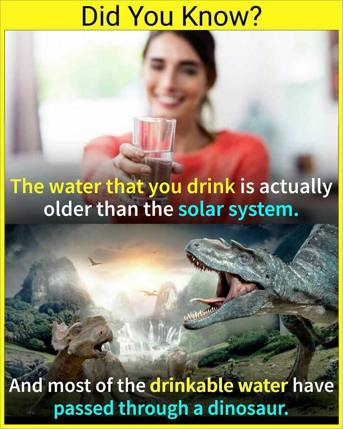 Your Thoughts⬇️
👉follow @einsteinfact For More Unknown & Interesting Facts 😎
like❤️ Comment✍️ Share🚀
save It For Future 🥰
😱 Don't Forget To Check The Interesting Stories 😉
📸 Image Credit To It's Respective Owner
🔔 Turn On Post Notification