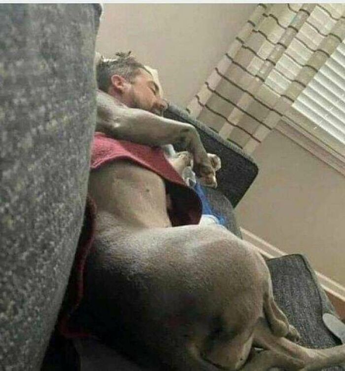 Weird-Images-Worth-Seeing