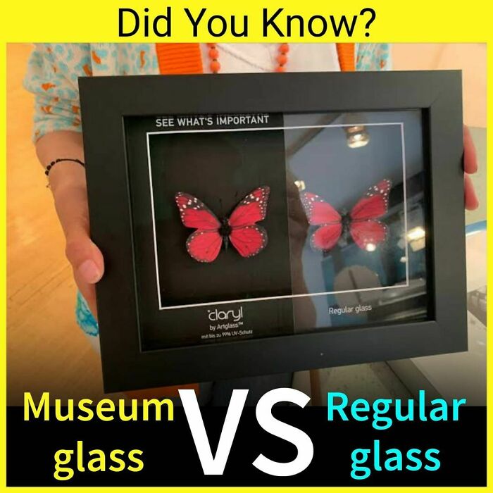 Comparison of museum glass versus regular glass showing clarity difference with a red butterfly display case.