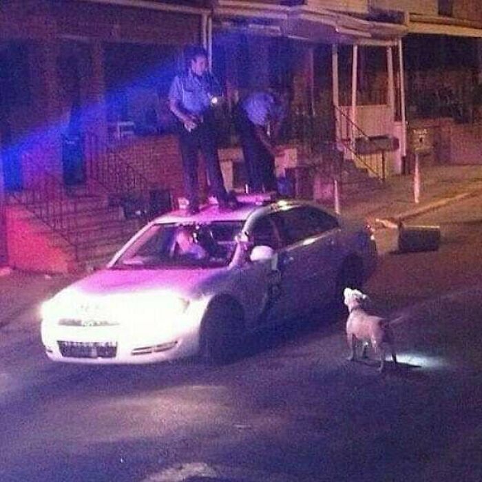 Weird-Images-Worth-Seeing