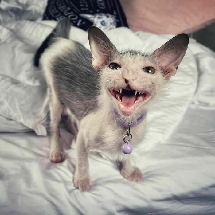 “Though She Be But Little She Is Fierce”