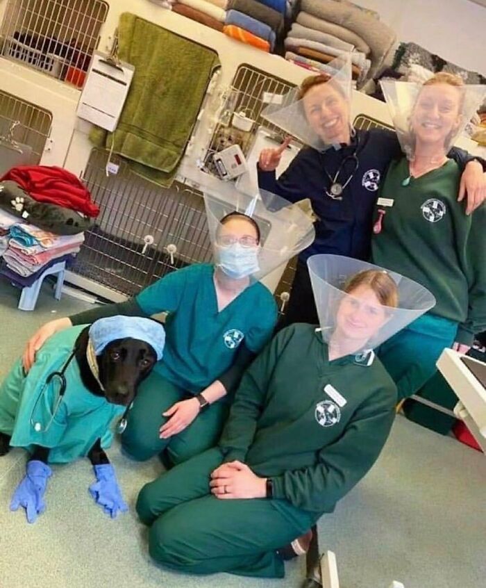 'Not My Animal': 40 Animal Pics That Just Don't Make Any Sense, As Shared On This Instagram Account