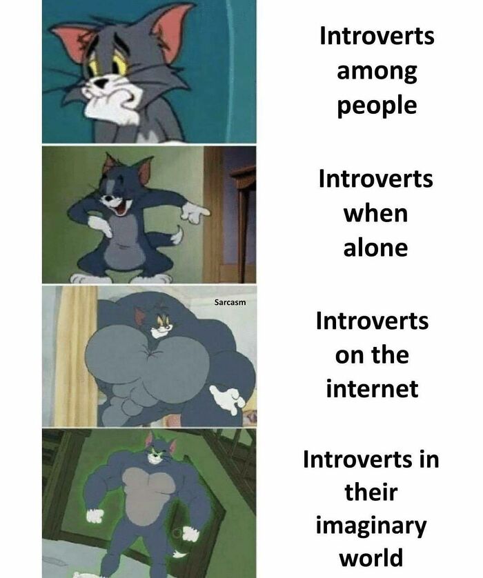 Tom the cat in four panels humorously depicting introverts in different scenarios.