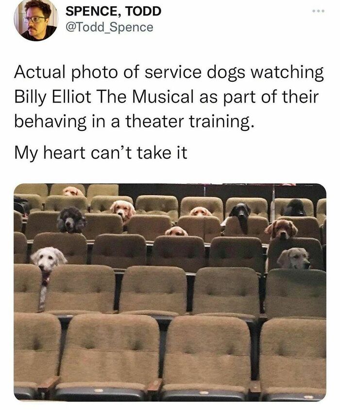 Did They Bring Their Own Snacks? (T:todd_spence)