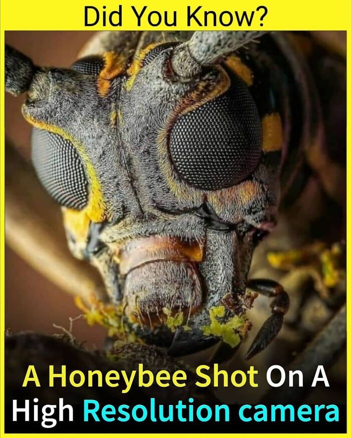 👉follow @_.factopedia For More Unknown & Interesting Facts 😎
like❤️ Comment✍️ Share🚀
save It For Future 🥰
😱 Don't Forget To Check The Interesting Stories 😉
📸 Image Credit To It's Respective Owner
🔔 Turn On Post Notification