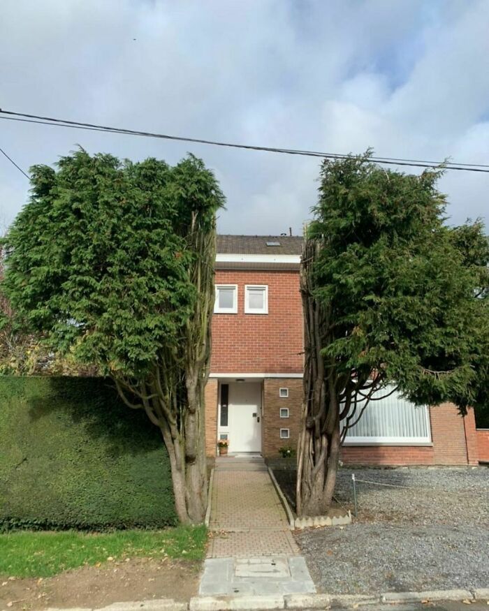 One Of Mozes' Less Famous Miracles 