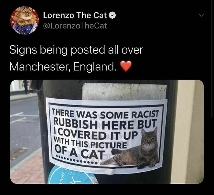 Well Played (T: @lorenzothecat)