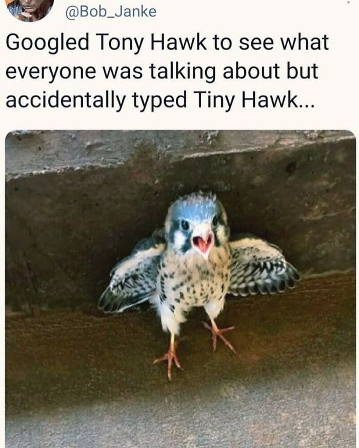 That's Definitely Him (T: Bob_janke)