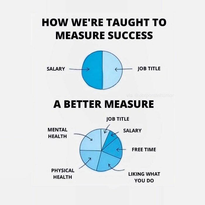 Pie charts humorously comparing traditional and better ways to measure success, highlighting corporate humor.