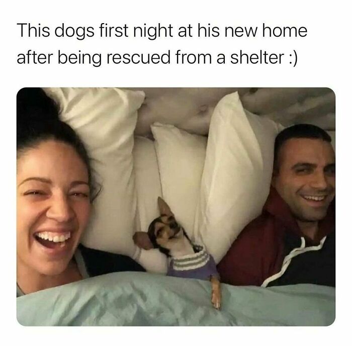 Happy Happy Joy Joy 🤩