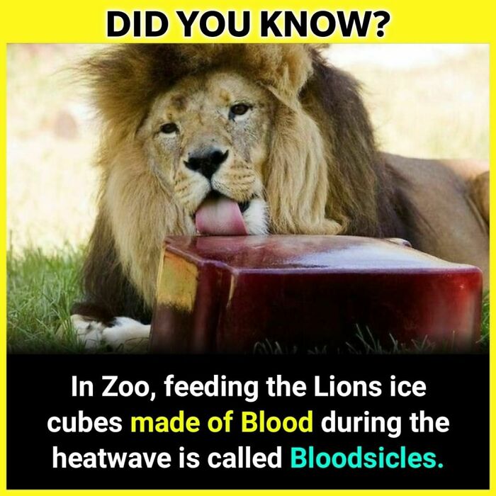 Your Thoughts ⬇️
follow @_.factopedia For More Amazing Facts❤️❤️
#factsdaily #factsonly #factstho #factsoflife #facts💯 #didyouknowfacts #psychologyfacts #doyouknow #instafacts #unknownfacts #trendingfacts #sciencefacts #viralfacts #gkfacts #facts‼️ #coolfacts #knowledge #realfacts #generalknowledge #factsonfacts #allfacts #fact #instafacts #facts💯💯💯 #factz #truefacts #dailyfacts