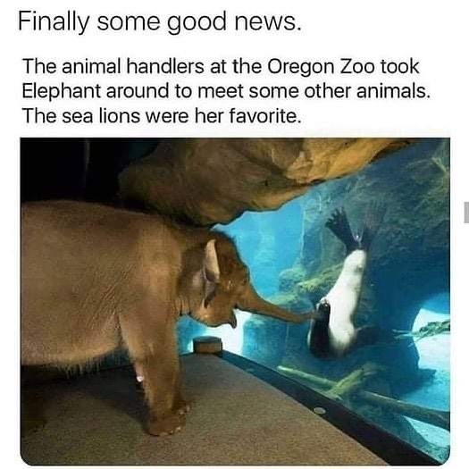 Hello Friend (@oregonzoo)