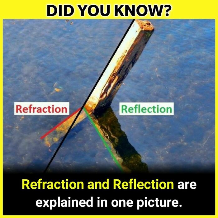 Your Thoughts ⬇️
follow @_.factopedia For More Amazing Facts❤️❤️
#factsdaily #factsonly #factstho #factsoflife #facts💯 #didyouknowfacts #psychologyfacts #doyouknow #instafacts #unknownfacts #trendingfacts #sciencefacts #viralfacts #gkfacts #facts‼️ #coolfacts #knowledge #realfacts #generalknowledge #factsonfacts #allfacts #fact #instafacts #facts💯💯💯 #factz #truefacts #dailyfacts