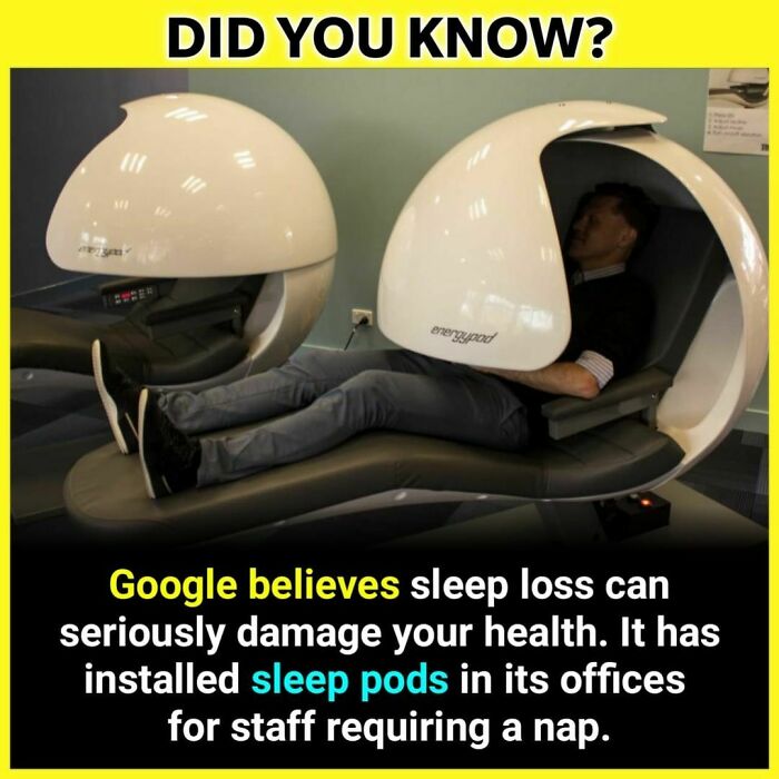 Man resting in white sleep pod in office setting, illustrating unknown facts about sleep pods and health.
