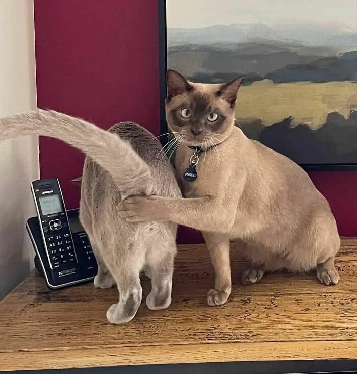 Weird-Images-Worth-Seeing