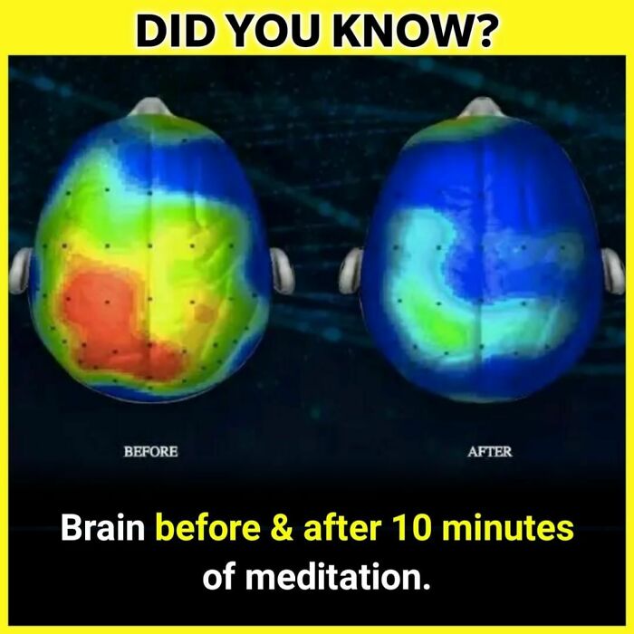 Your Thoughts ⬇️
follow @_.factopedia For More Amazing Facts❤️❤️
#factsdaily #factsonly #factstho #factsoflife #facts💯 #didyouknowfacts #psychologyfacts #doyouknow #instafacts #unknownfacts #trendingfacts #sciencefacts #viralfacts #gkfacts #facts‼️ #coolfacts #knowledge #realfacts #generalknowledge #factsonfacts #allfacts #fact #instafacts #facts💯💯💯 #factz #truefacts #dailyfacts