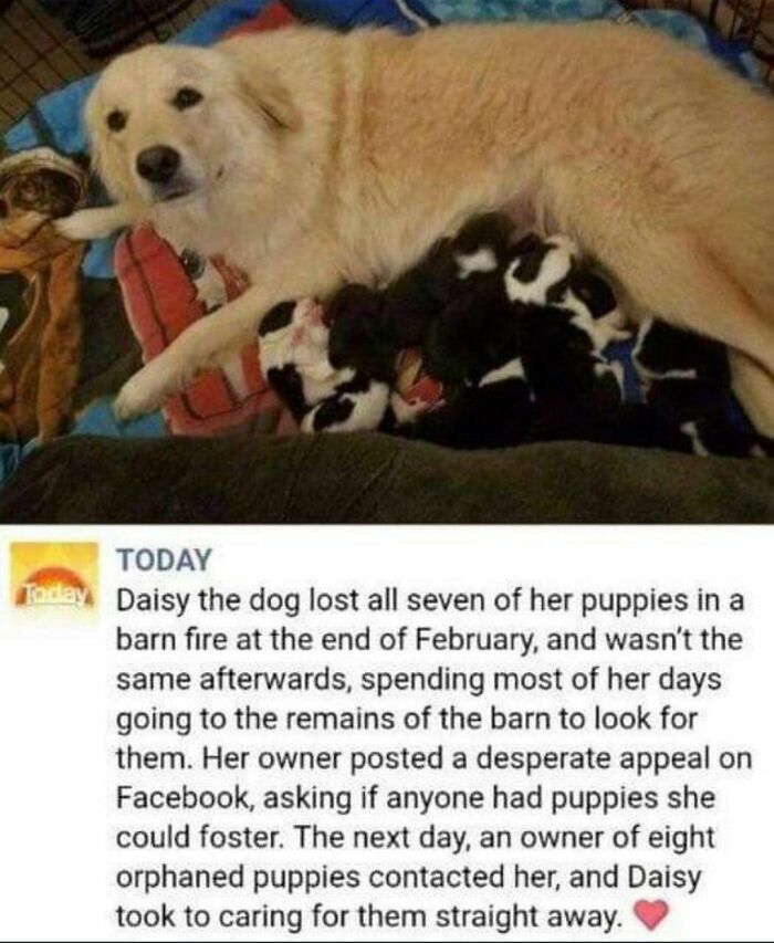 Never Forget (@todayshow)