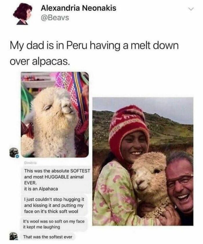 A Timeless Classic (T:beavs)