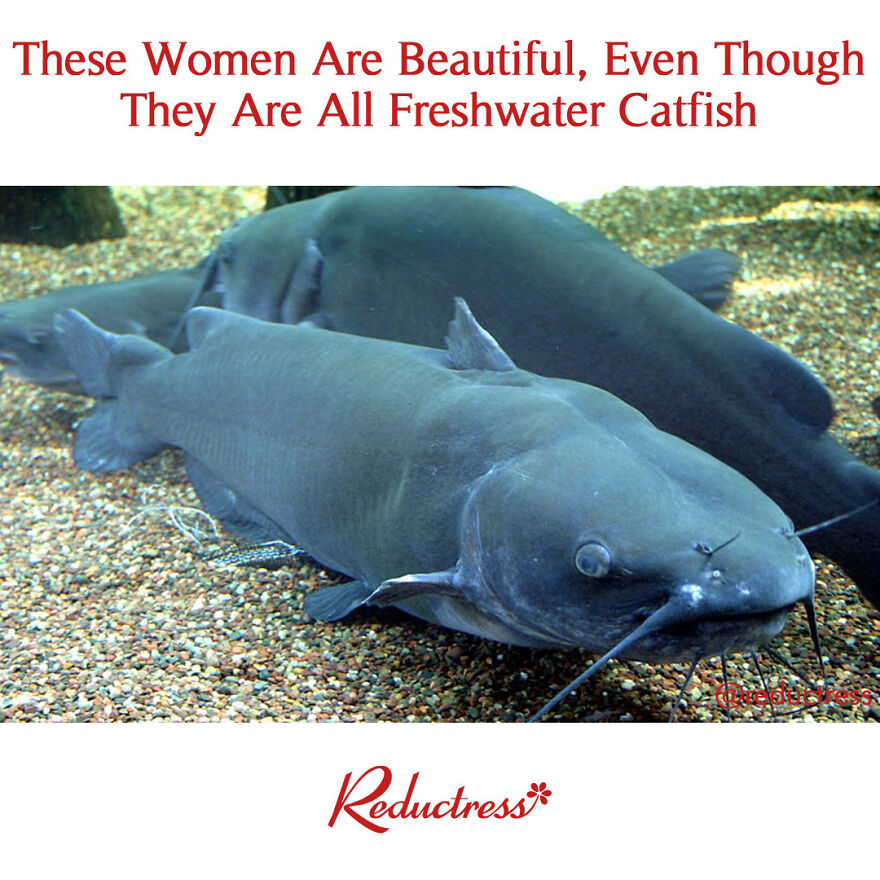 Celebrate these beautiful women!!
#catfish Celebrate these beautiful women!!
#catfish