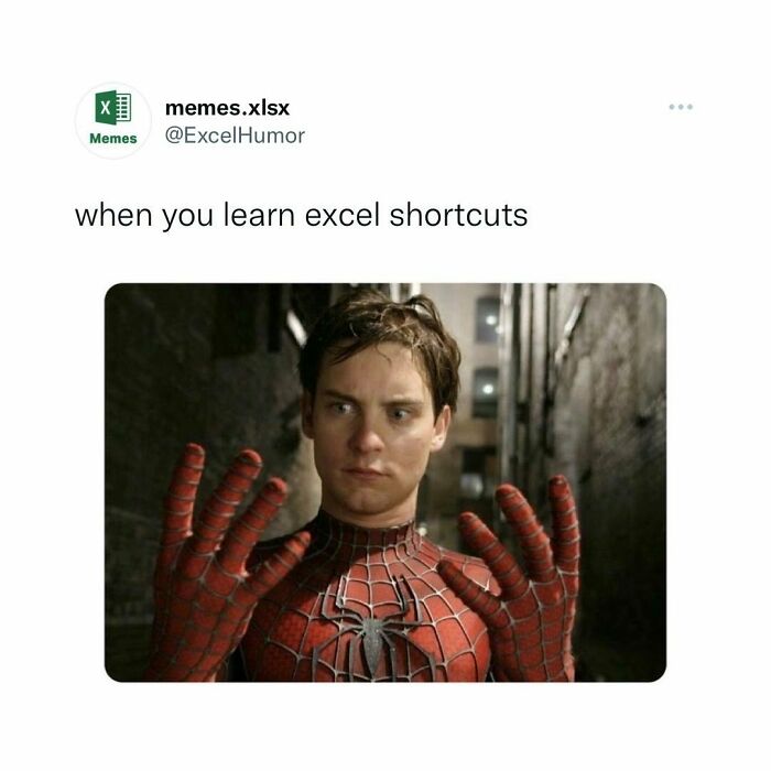 Excel-Humor-Funny-Pic